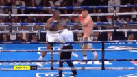 24AC53BB-62E6-42AC-97D6-8DE0BE84D376.gif