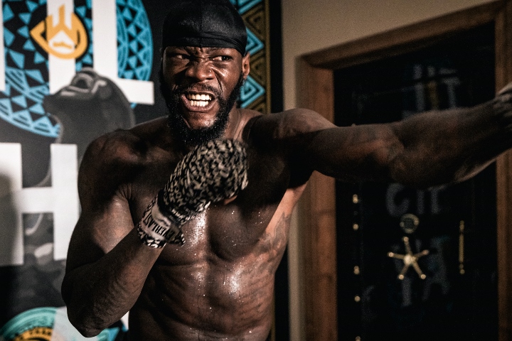deontay-wilder-hafey (11).jpg