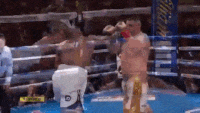 85D0DA96-25BB-47EF-86F5-656CBECC1DEE.gif