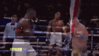8C79439A-2529-4C4B-9BD1-4F890EBE2AB9.gif