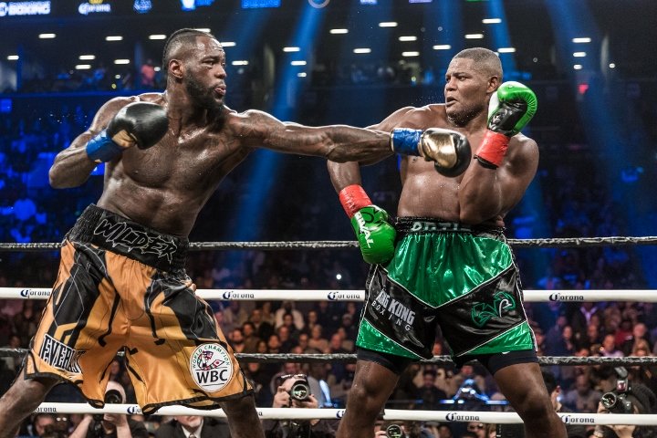charlo-harrison (4)_1.jpg