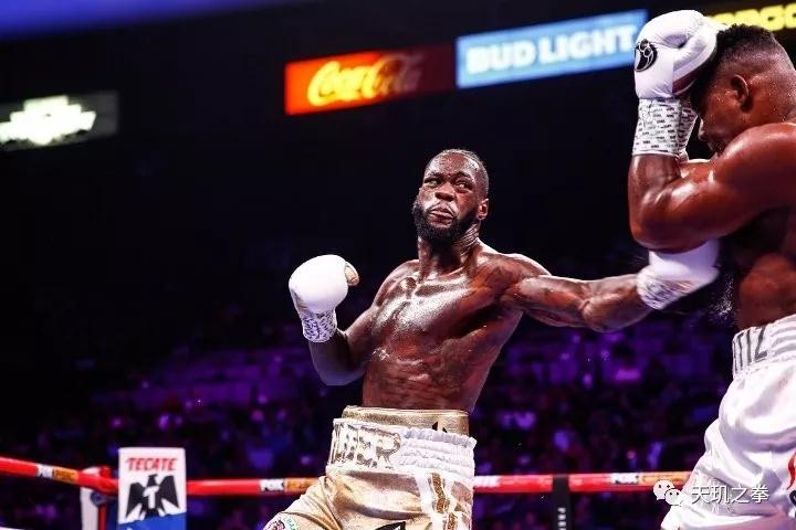 charlo-harrison (4)_1.jpg