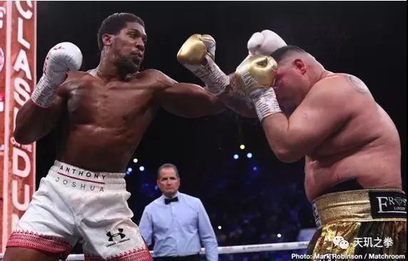 charlo-harrison (4)_1.jpg