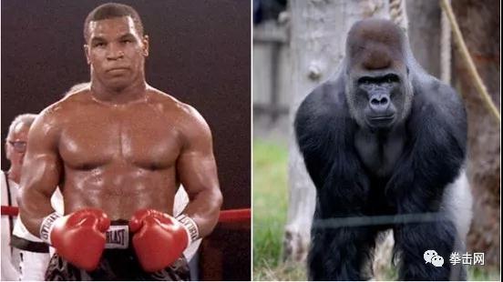 arum-hearn.jpg
