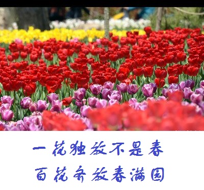 t012f8b199e155365fc.jpg