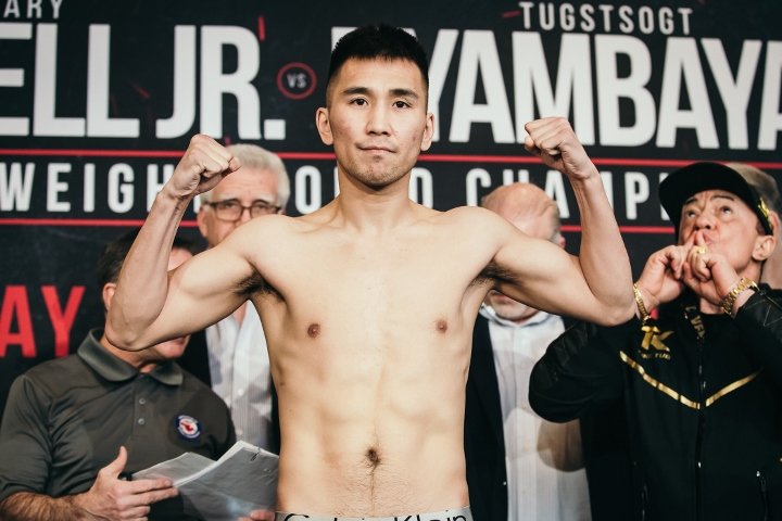 crawford-arum_3.jpg