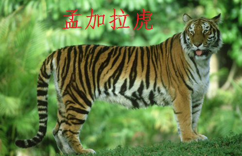 ΢ͼƬ_20200212175100.png