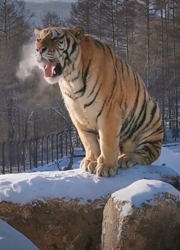 IMG_20200213_001137.png