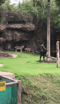 5eef6257gy1fudng2zxgqg205n09ox6p.gif