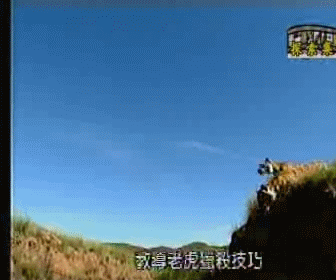 006rTtSxjw1f6bqycfglgg309c07stmb.gif