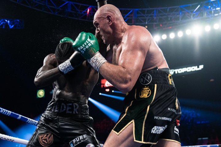 wilder-fury (6)_7.jpg