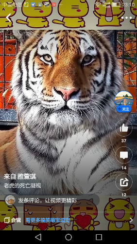 Screenshot_2020-04-03-23-10-56.png