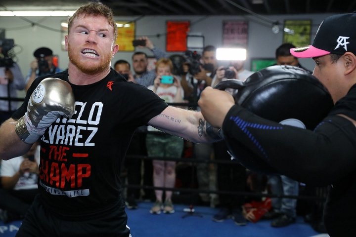 canelo-alvarez (1)_26.jpg