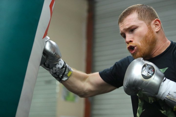 canelo-alvarez (19)_4.jpg