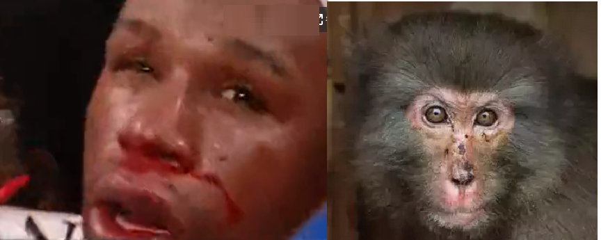 143602u20ncb04knnwo2c4.png
