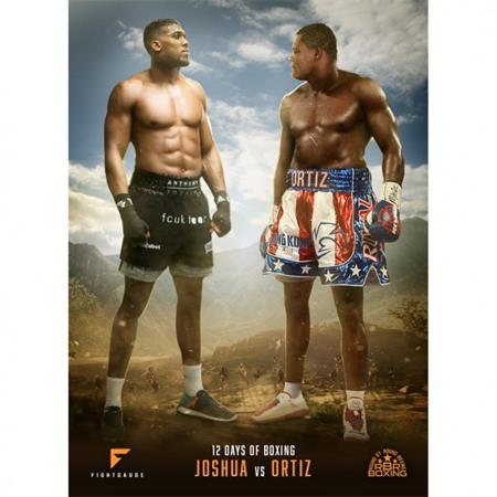12days-joshua-ortiz-v1.jpg