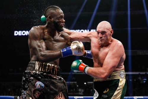 wilder-fury-fight (14).jpg