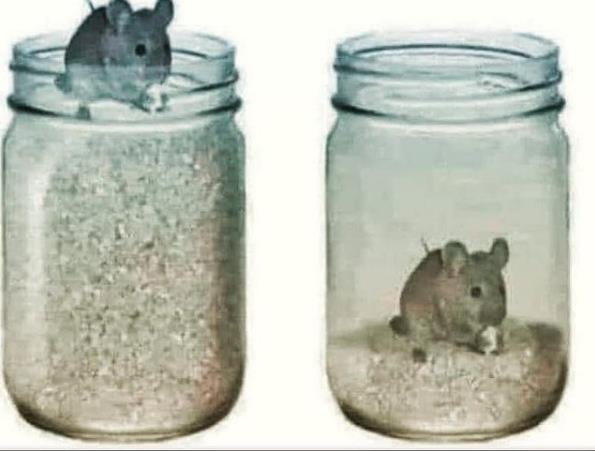 ɣ˹ĸ.jpg