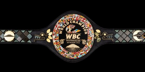 2722553belt.jpg