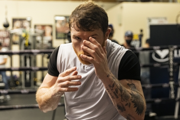canelo-alvarez (1)_1634775289.jpg