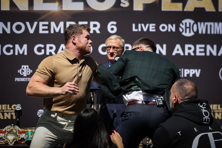 canelo-plant (6).jpg