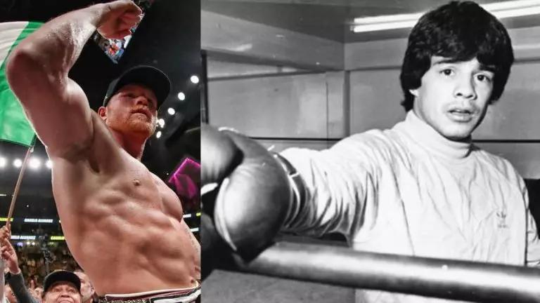 plant-is-another-menso-and-canelo-will-never-be-an-768x432-jpg.jpg