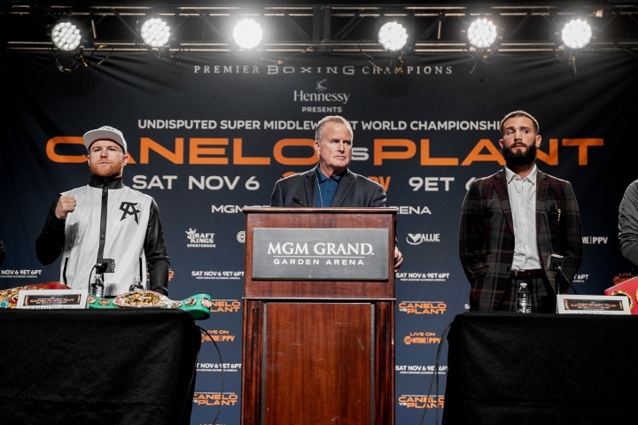 canelo-plant_1635982607.jpg