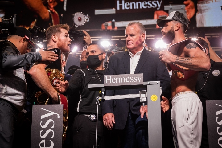 canelo-plant (3)_1636158056.jpg