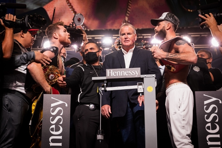 canelo-plant (4)_1636158056.jpg