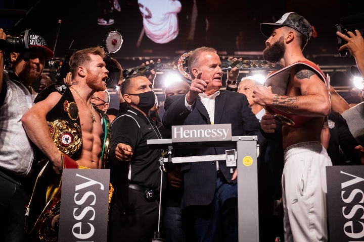 canelo-plant (6)_1636158056.jpg