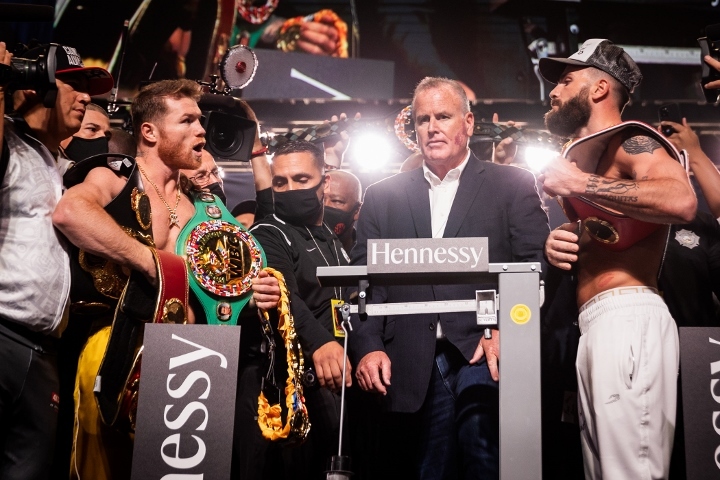 canelo-plant (7)_1636158056.jpg