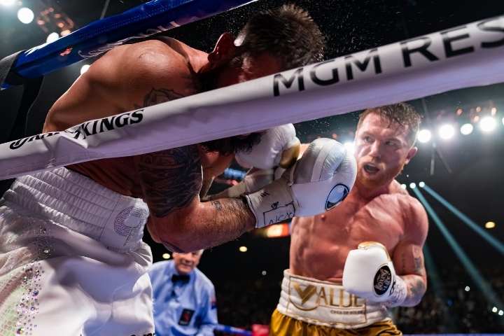 canelo-plant-fight (10).jpg