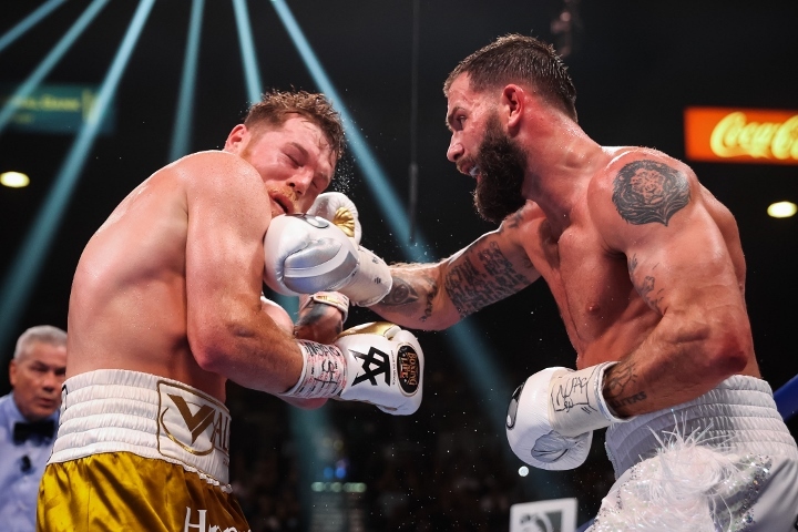canelo-plant-fight (24)_1636280463.jpg