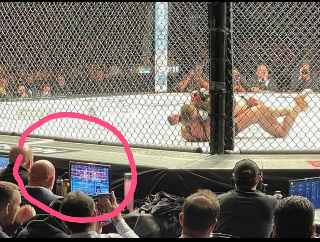 UFC.jpg
