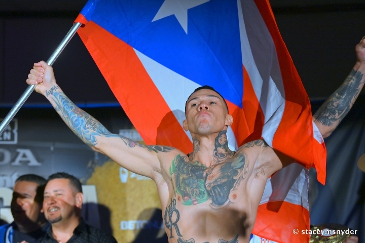 munguia-rosado-212.jpg