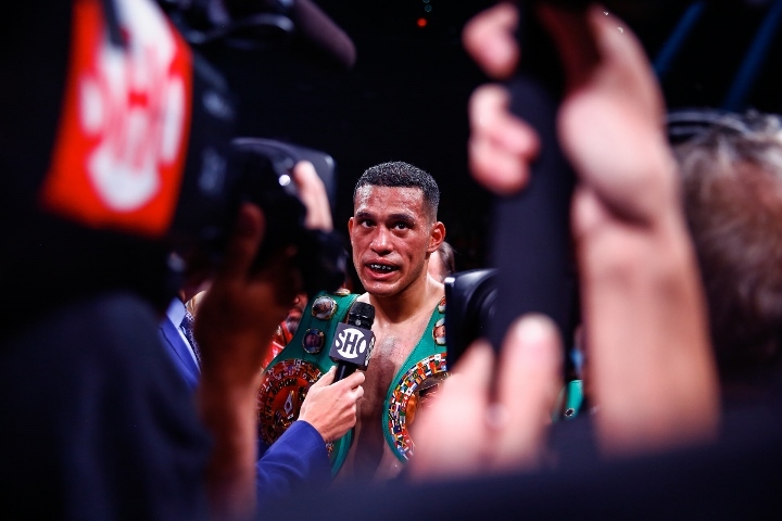 benavidez-davis-fight (28).jpg
