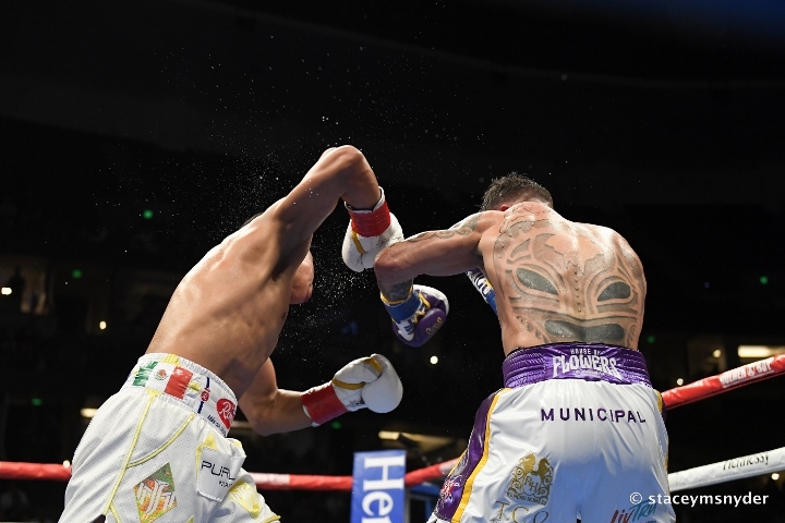 munguia-rosado-fight (30).jpg