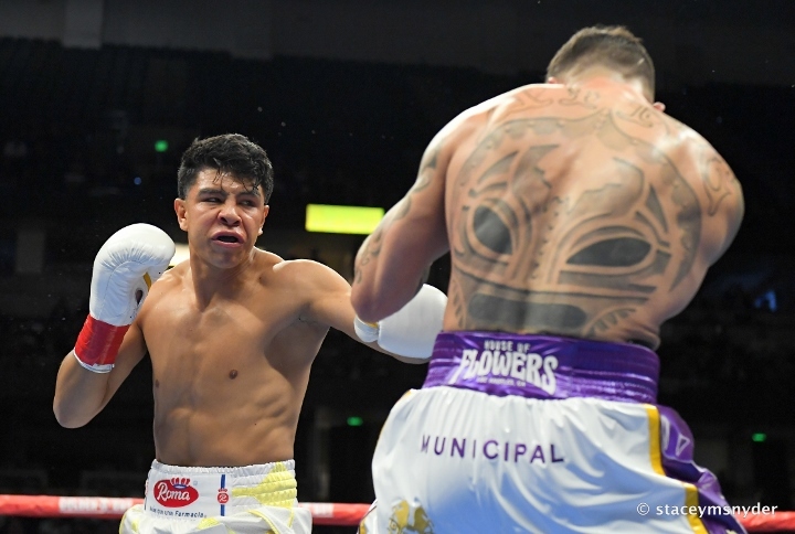 munguia-rosado-fight (19).jpg