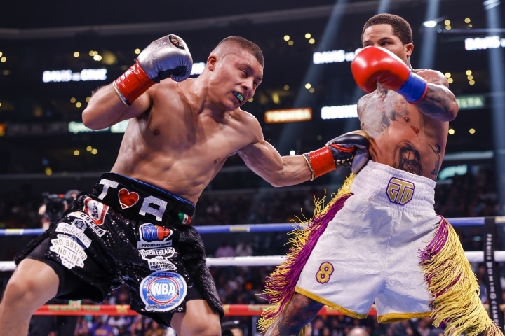 davis-cruz-fight (9).jpg