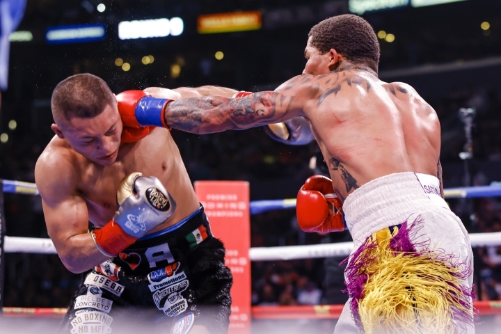 davis-cruz-fight (12).jpg