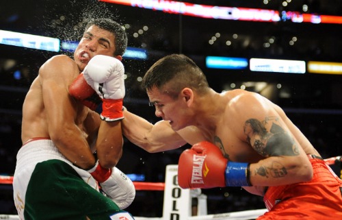 Marcos_Rene_Maidana2.JPG