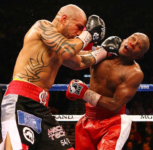 Mayweather-cotto-5.jpg