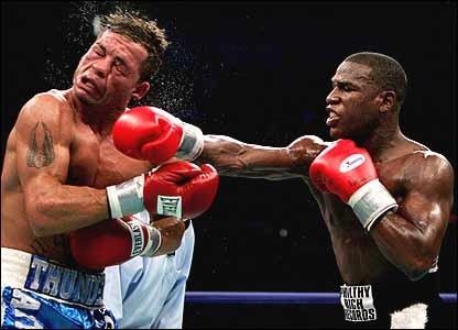 Gatti_Mayweather_2005.jpg