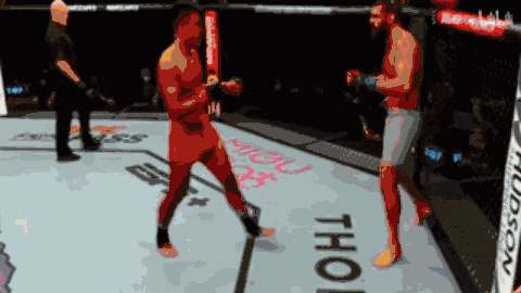 index.gif