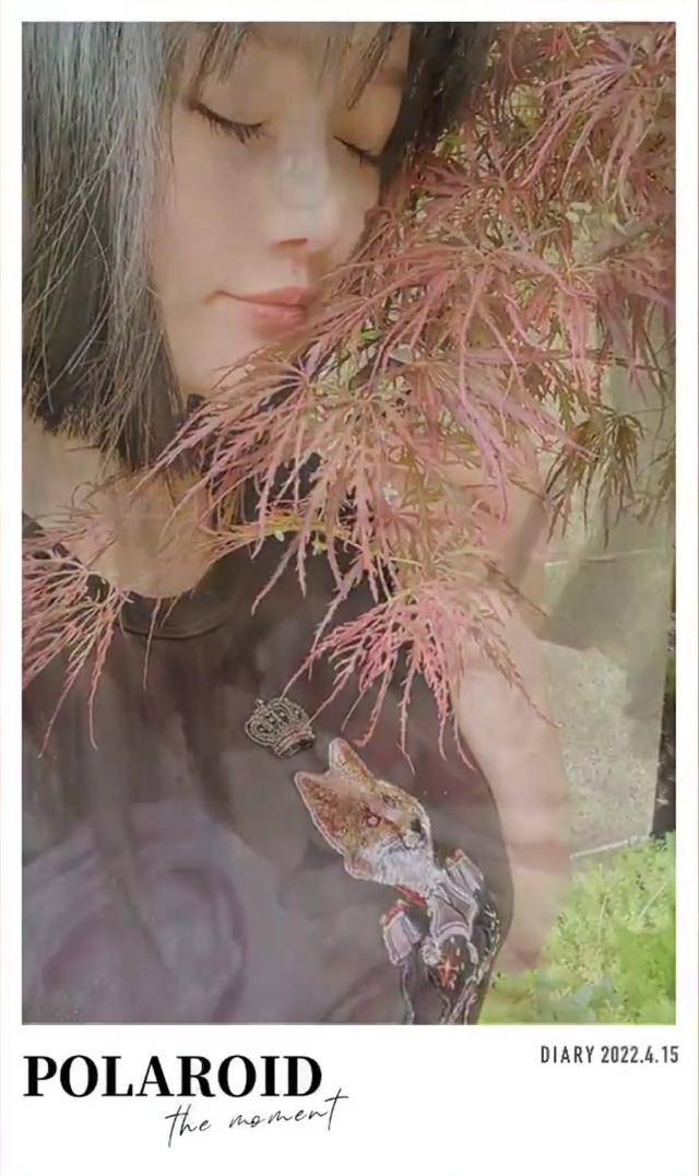 5.jpeg