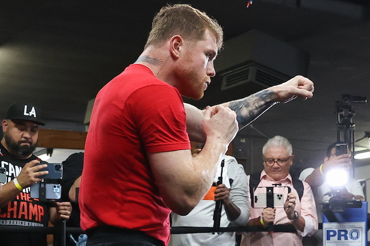 canelo-alvarez (25)_1661822911.jpg