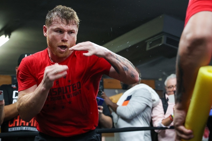 canelo-alvarez (30)_1661822911.jpg