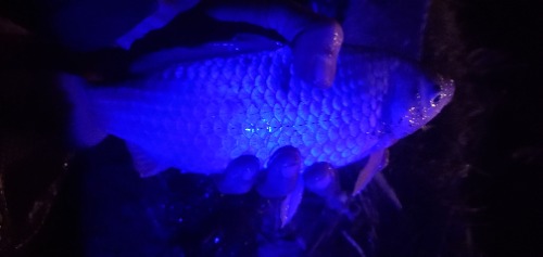 20221222_001247.jpg