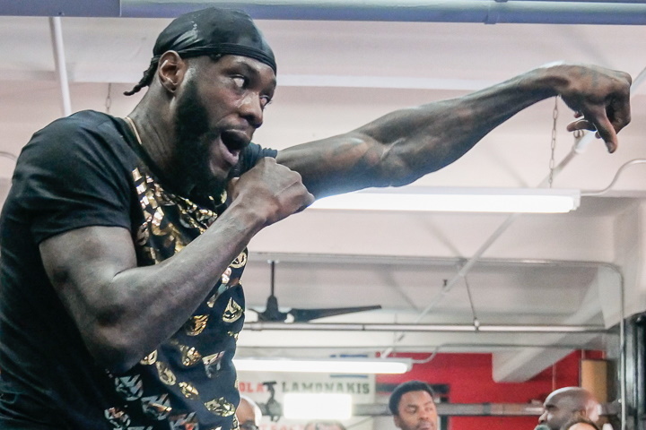 deontay-wilder (23)_1665638075.jpg