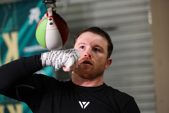 canelo-alvarez (1)_1680800818.jpg